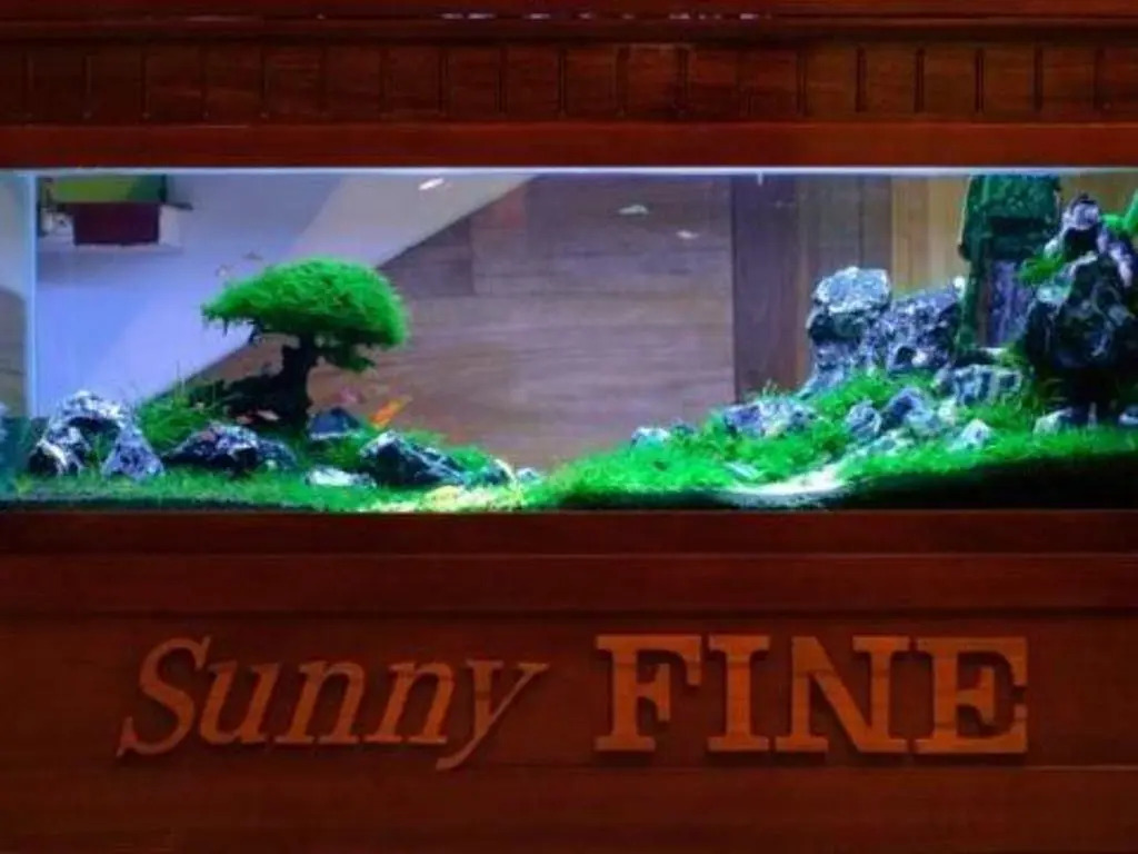Sunny Fine Guesthouse