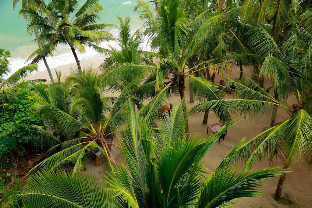 Ceylon Sea Hotel