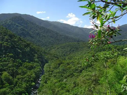 Stay in Itatiaia
