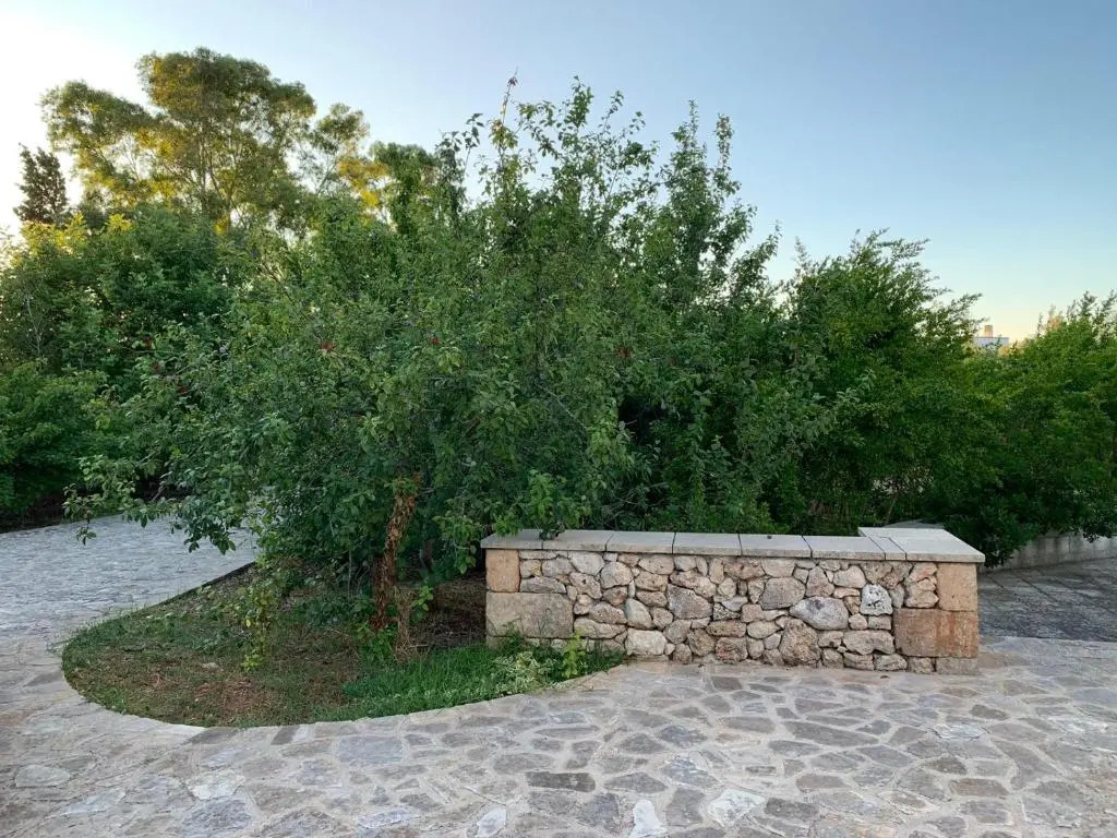 Villa Olivia