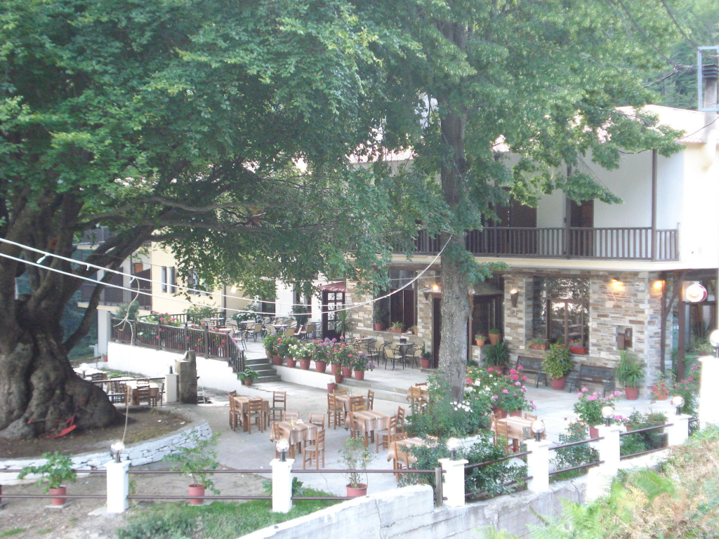 Hotel Hani Zisi