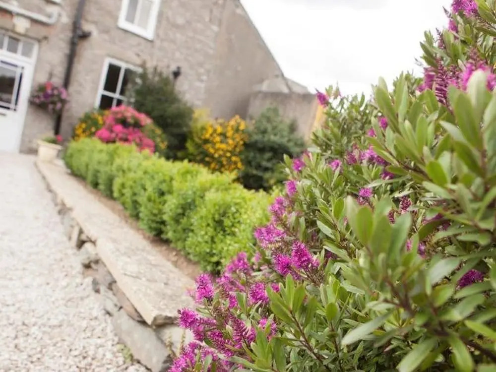 Trewithian Farm B&B