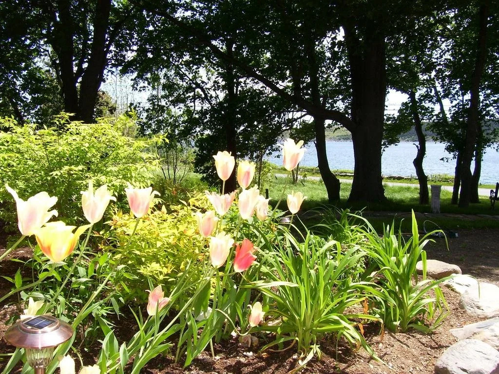 Rose Manor Inn B & B