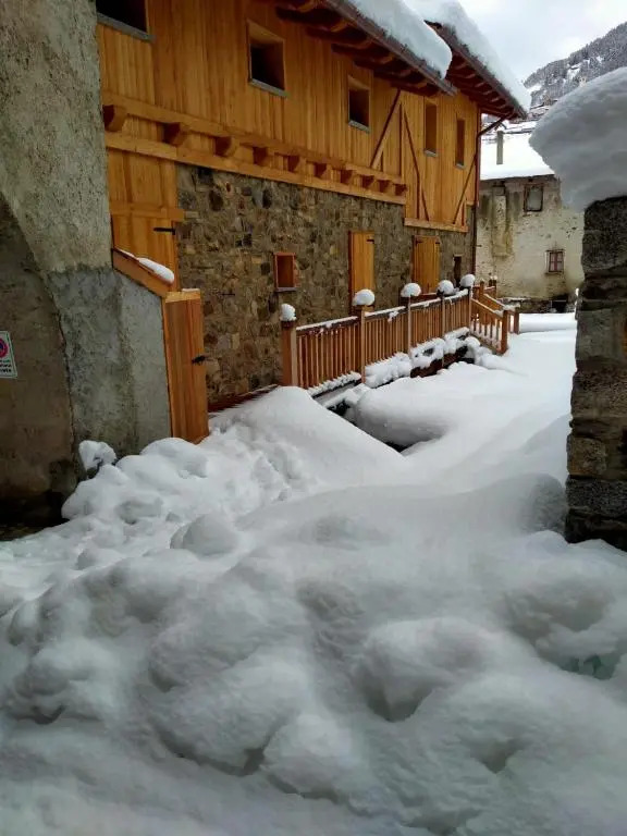 Winter Dreams 14