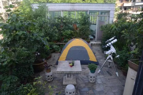 Dream Garden