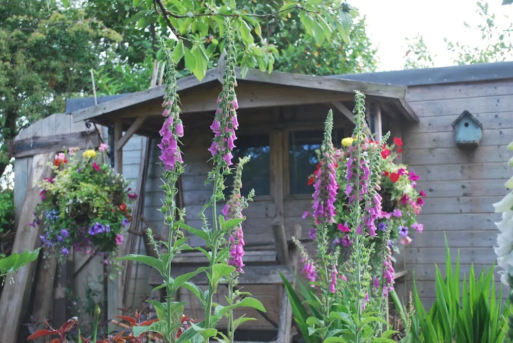 Hillcroft Luxury Bed & Breakfast