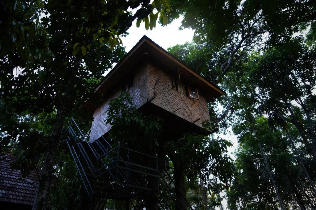 Hiliya Resort - Hostel