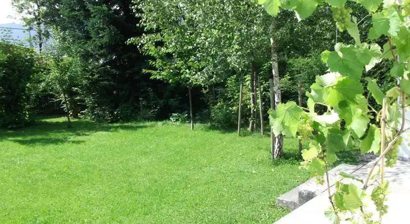 Sagzahnblick