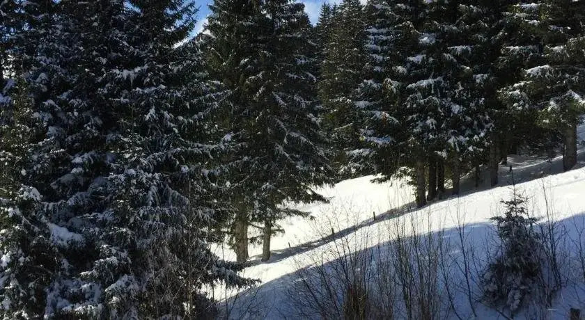 Chalet Grünegg