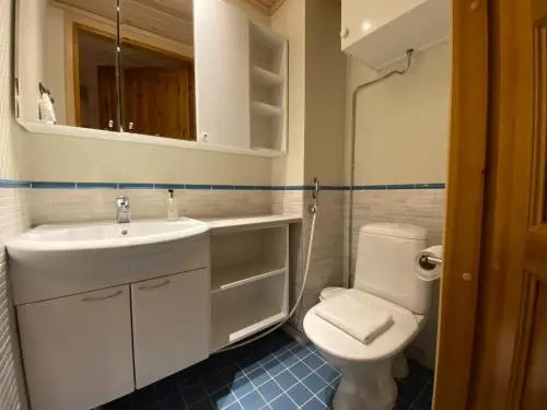 Levin Alppitalot Alpine Chalets Deluxe