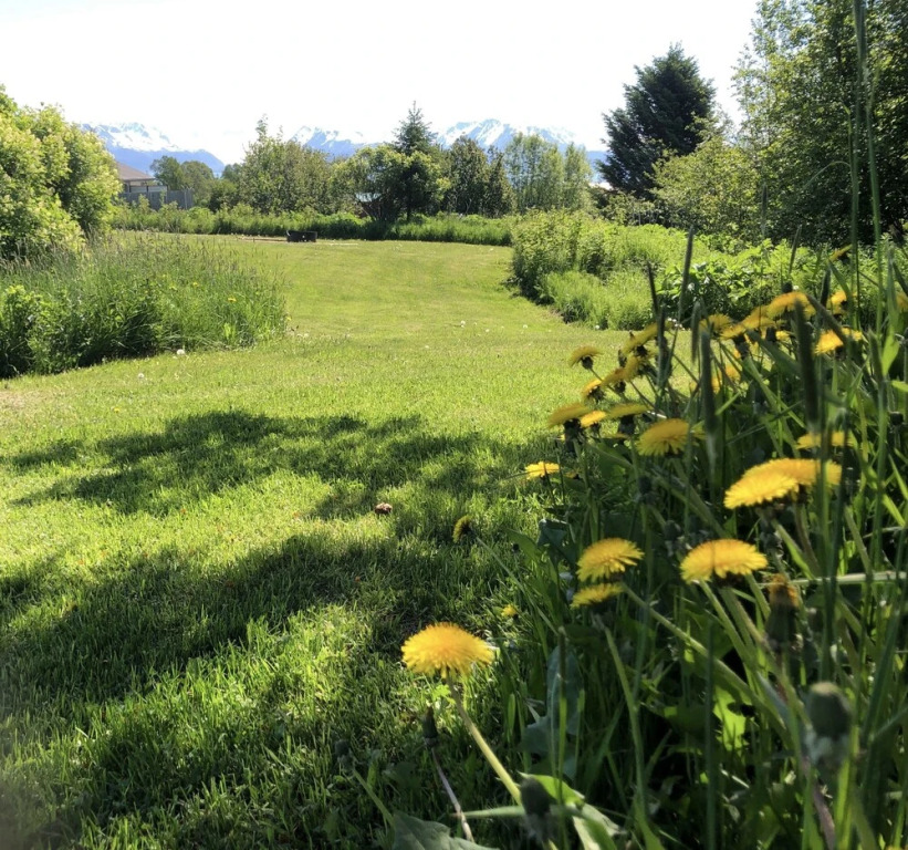 Glacier View Cabins