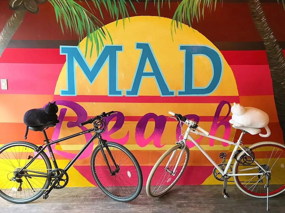 Mad Cat Hostel Osaka & Bar