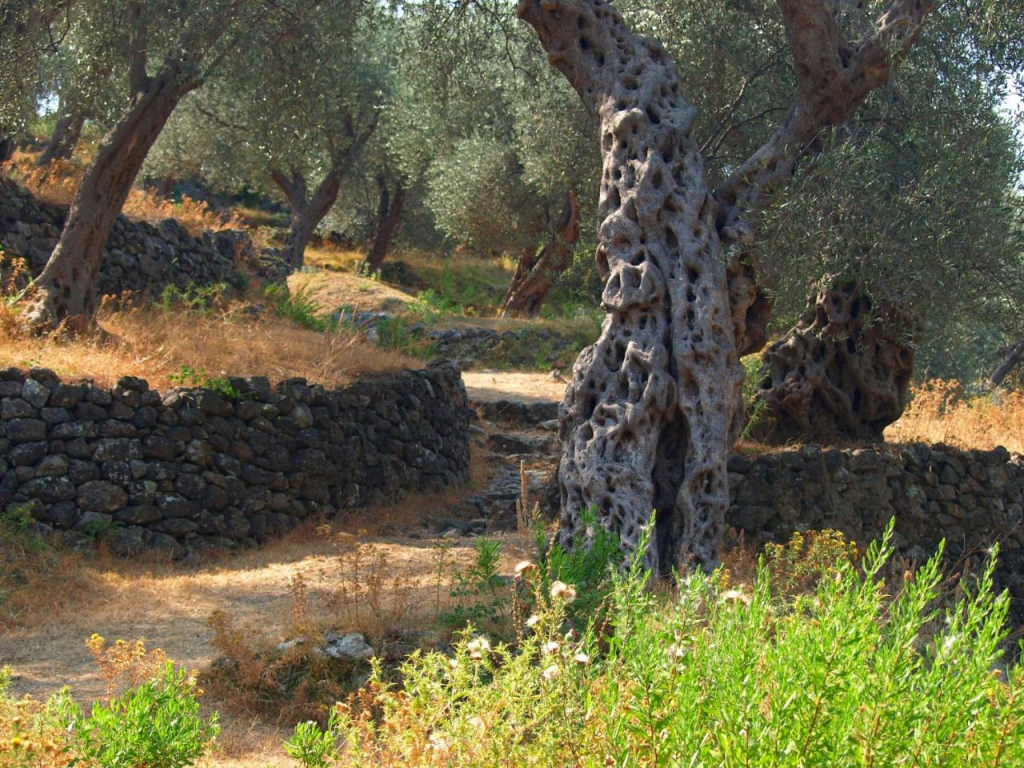 Ratac Eco Guest House