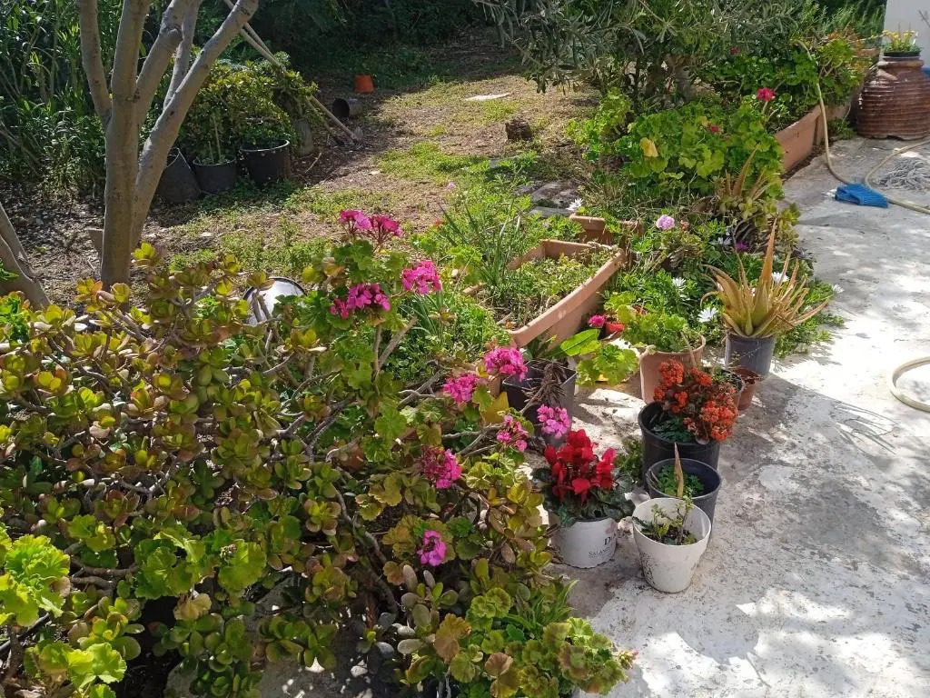 Villa Athina 3