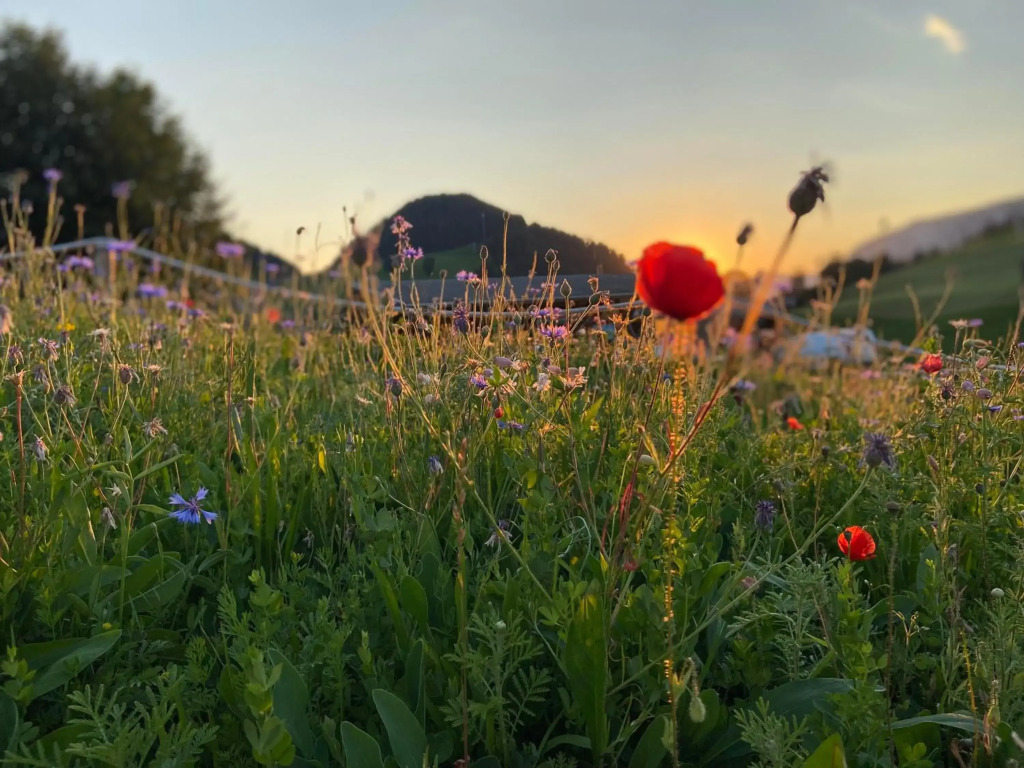 Haus Chorblick