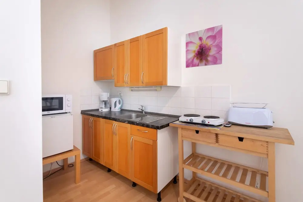 Spacious Apartments in Heart of Prague