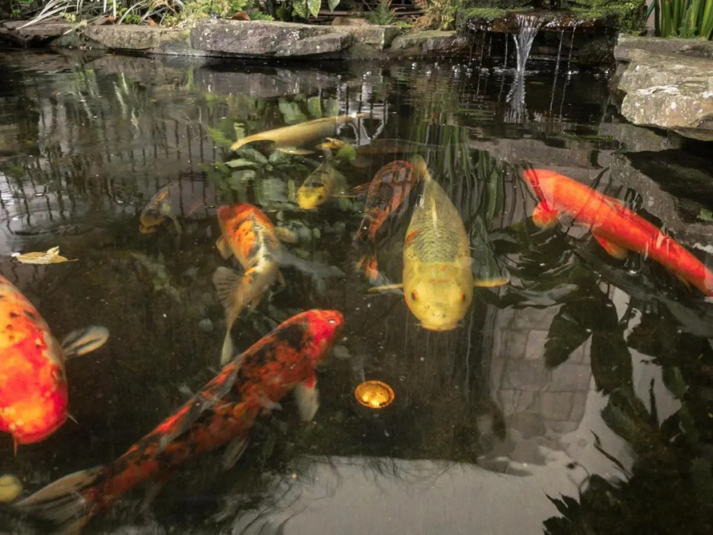 Pousada Serrana
