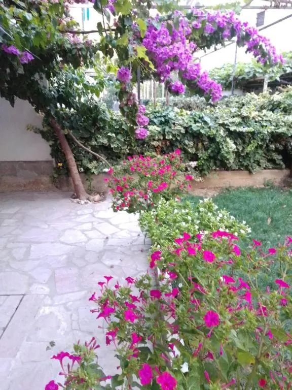 Apartment Anđelka