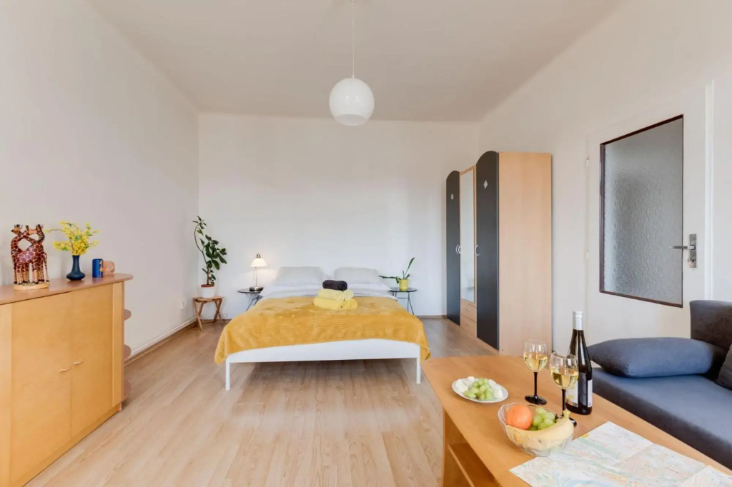 Sunshine Apartment near the City center