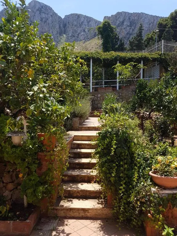 Suite Panoramic