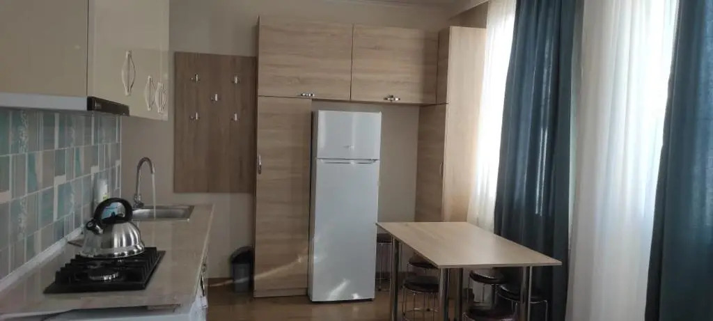 Nias's Apartment in Bakuriani