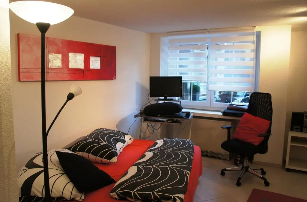 Studio-Appartment Horgen