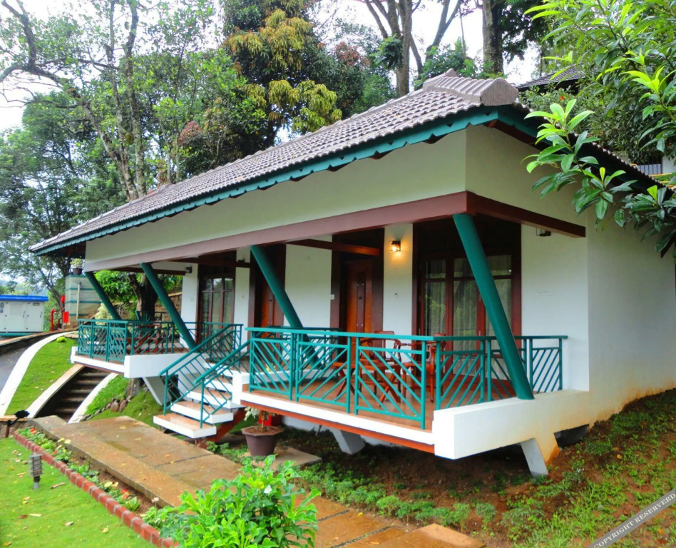 Forest Canopy Thekkady