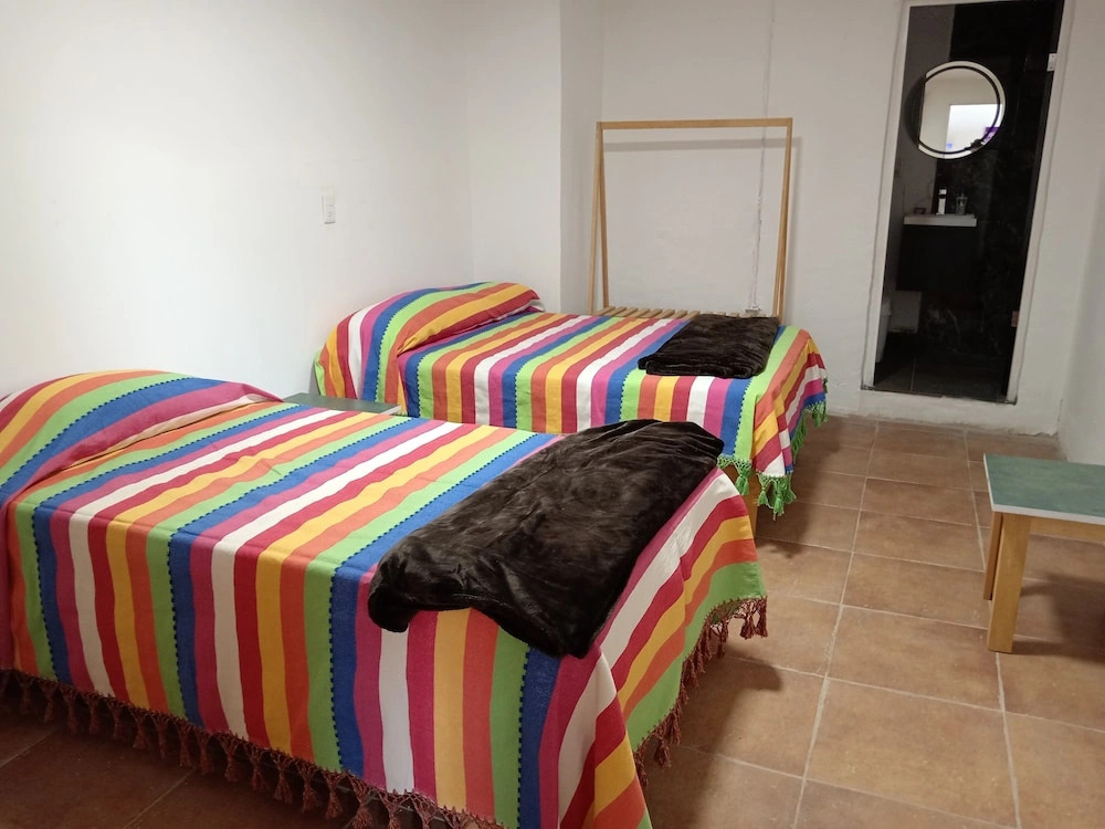 Iguana Coliving