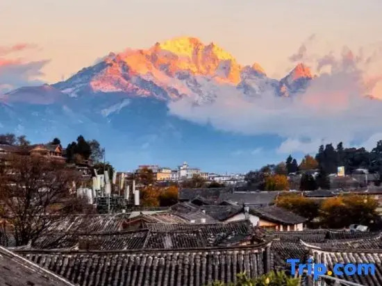 Yongkang Leju|Naxi Courtyard Designer Snow Mountain View Guesthouse (Shuhe Ancient Town Store