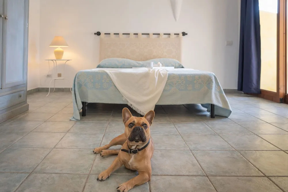Tranquile Palau Green Village Studio sleeps 2 with Child