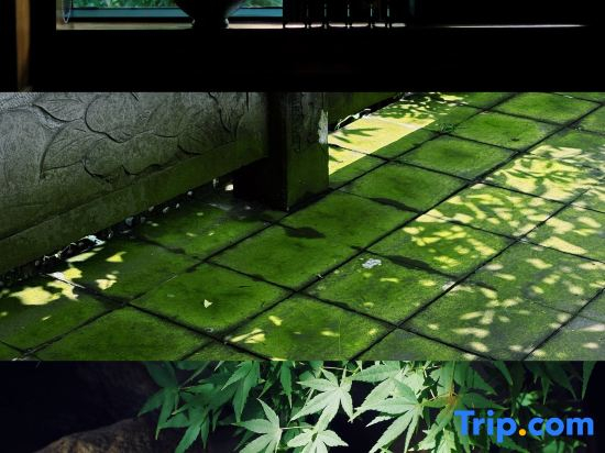 Shishe · Spring Home Inn (Dujiangyan Irrigation Project Scenic Spot Nanqiao Store)