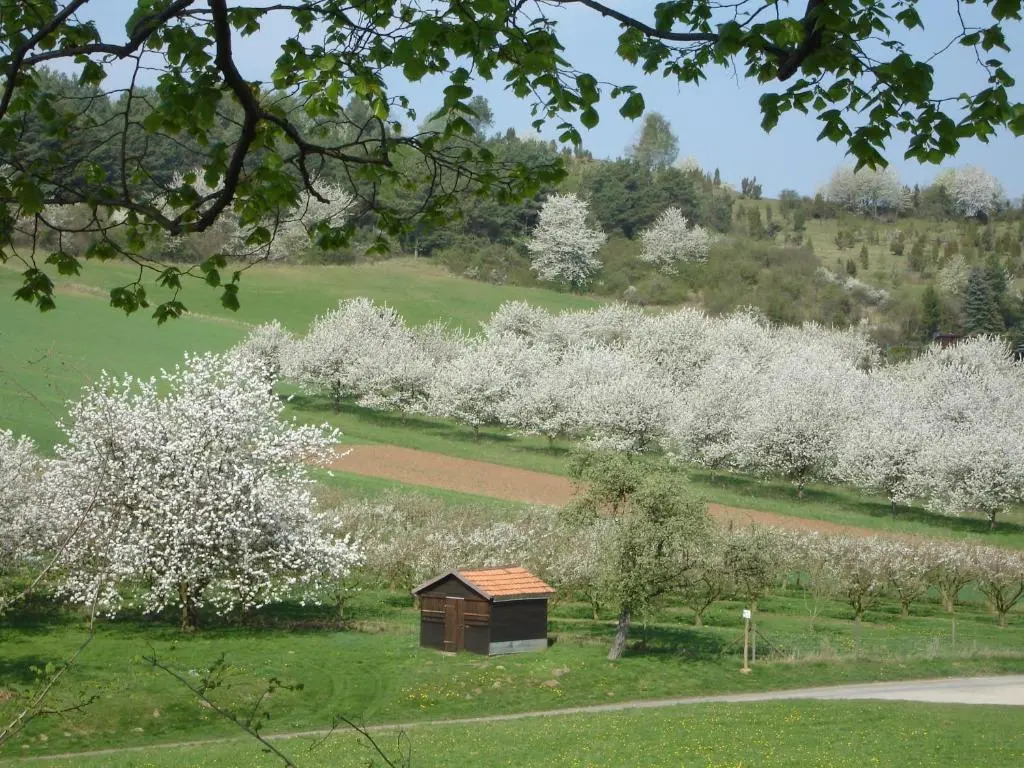 Landgut Hotel zur Warte