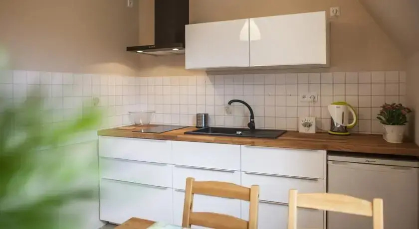 Apartament Boruta