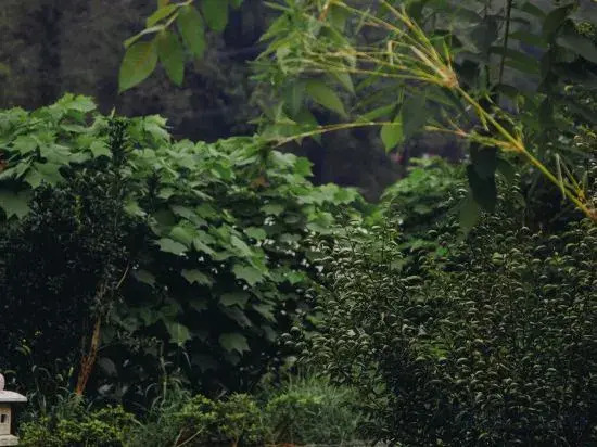 Nanjing Fengjingyuan Homestay