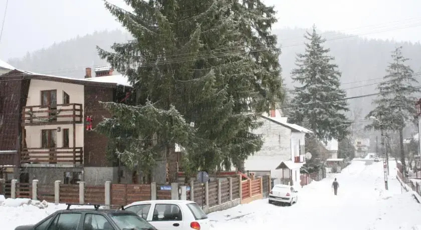 La Buni Busteni