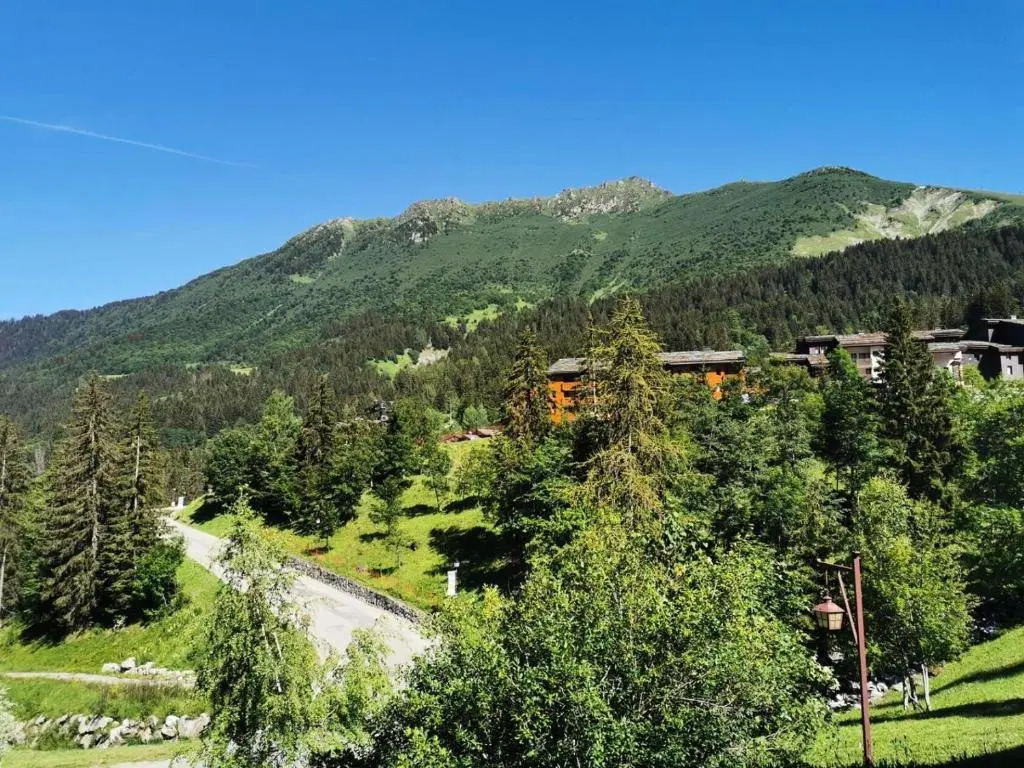 Résidence TERRASSE - Studio pour 4 Personnes 44