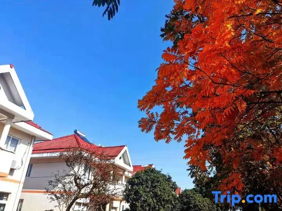 Xinmu Tengyuan (Tengtou Ecological Scenic Spot)