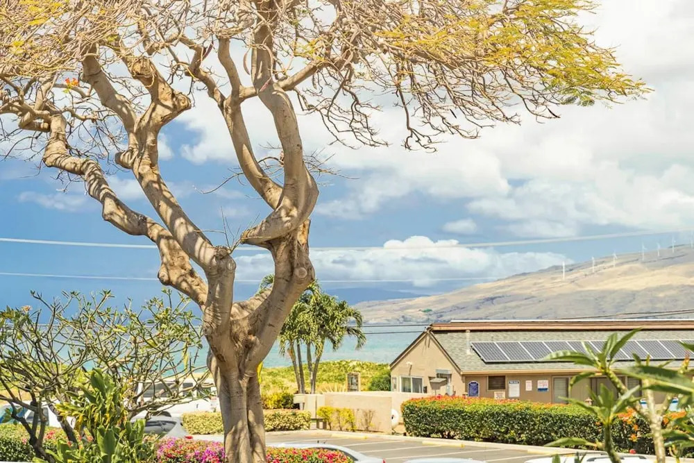 Kihei Holiday 215 by Coldwell Banker Island Vacations