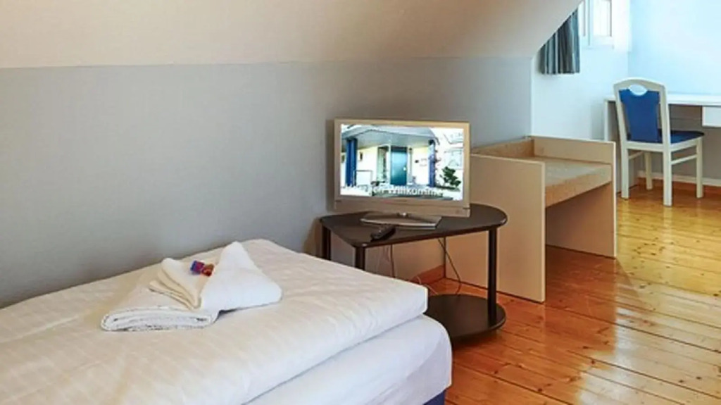 Hotel Luther Birke Wittenberg