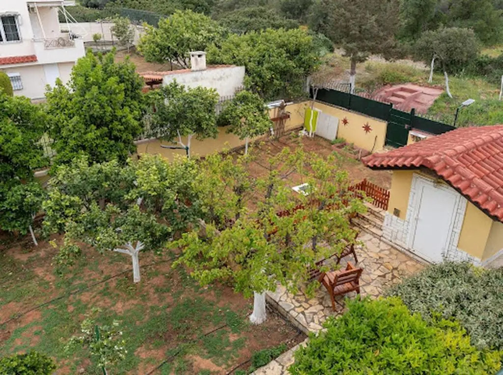 Yellow house