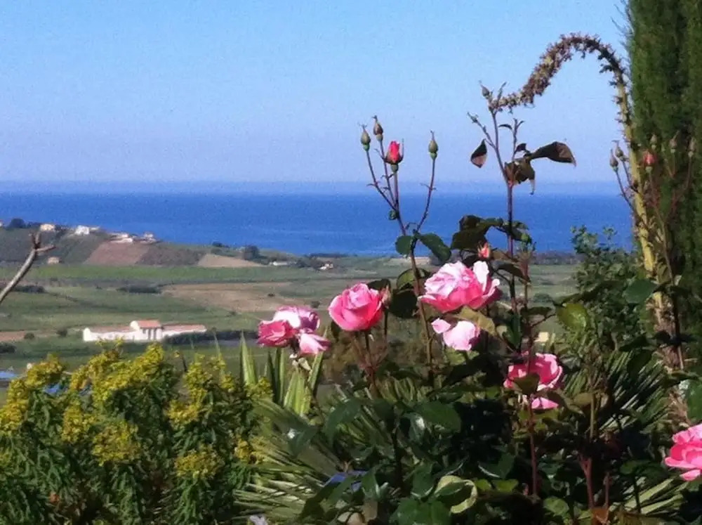 Case Vacanze Castellana Dream