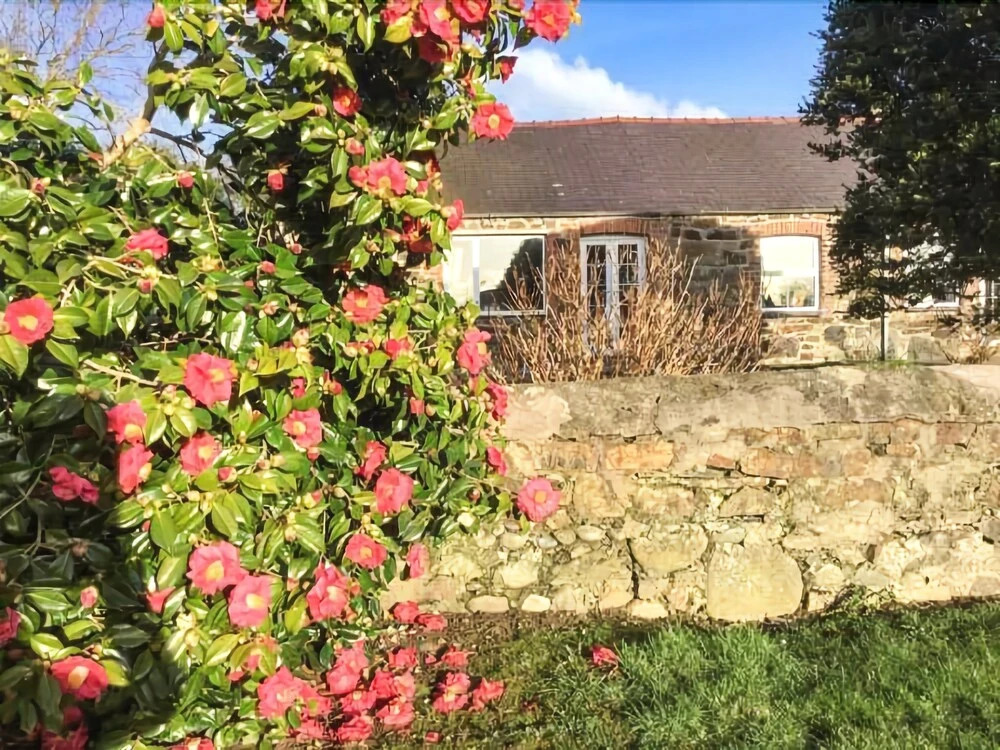 4 Bed in Pwllheli oc-tshipp