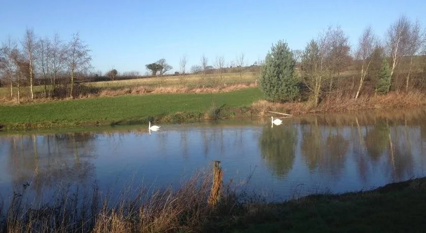 Thornton Lodge Farm