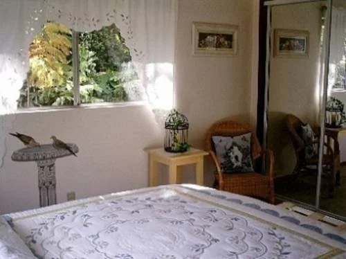 Hapuu Fern Cottage