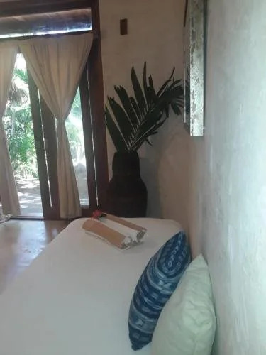 Casa Violeta
