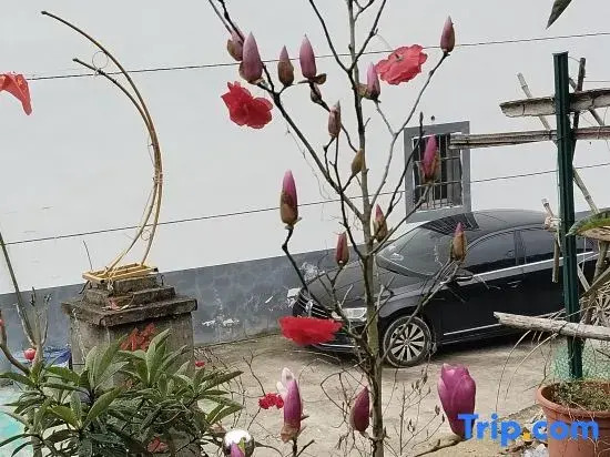 Shangrao Junfeng Mountain Villa