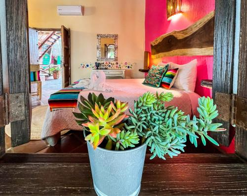 Hotel Casa Palomera