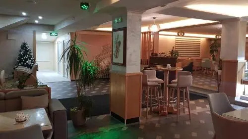 Hotel Milenium