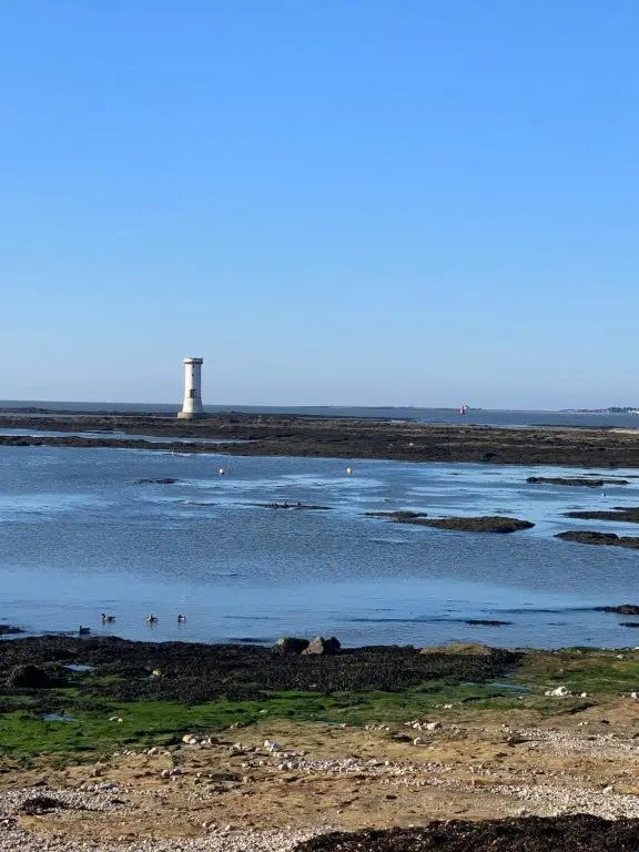 Sud Morbihan T3 et jardin 450m de la plage