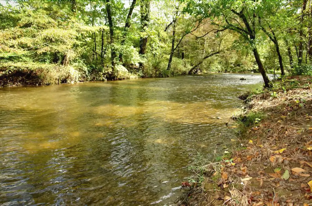 Hook Line and Sinker on Cosby Creek - 2 Br Cabin
